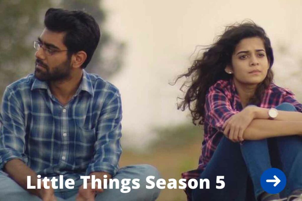 Little Things Season 5