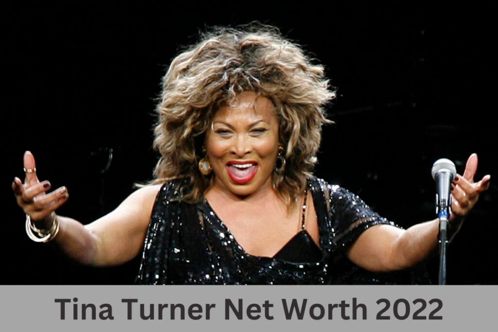Tina Turner Net Worth 2022