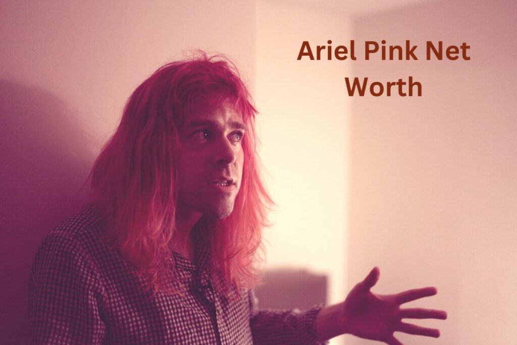 Ariel Pink Net Worth