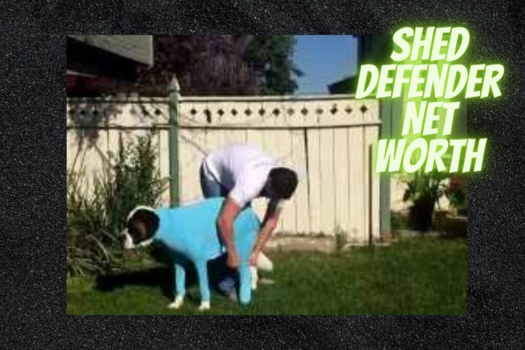 Shed Defender Net Worth