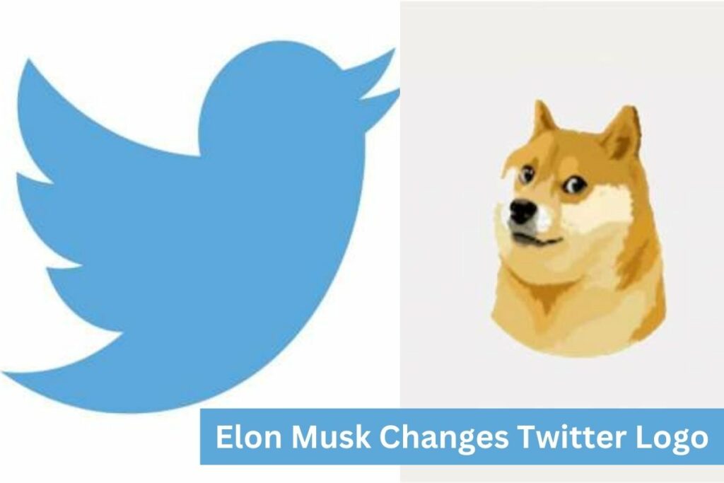 Elon Musk Changes Twitter Logo Details Inside