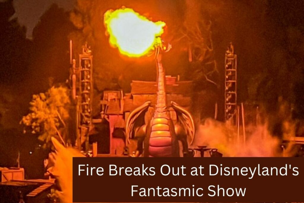 Fire Breaks Out at Disneyland's Fantasmic Show