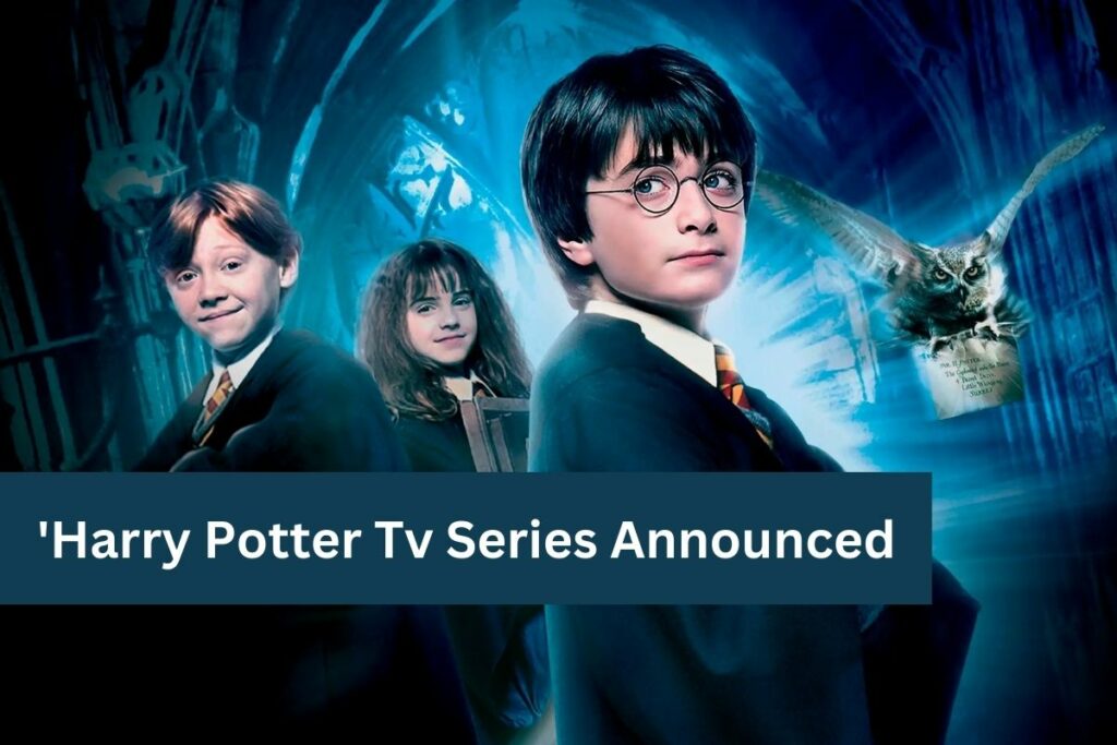 'Harry Potter' Tv Series Announced (2)