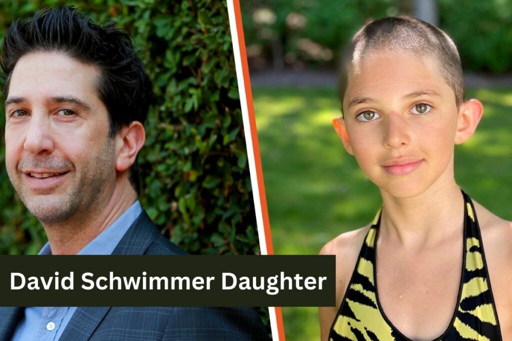 David Schwimmer Daughter Completely New Look! Check Here