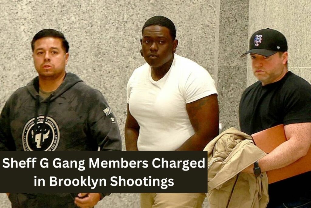 Sheff G Gang Members Charged in Brooklyn Shootings