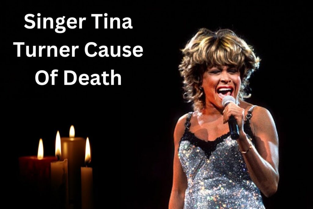 Singer Tina Turner Has Died Aged 83 (1)