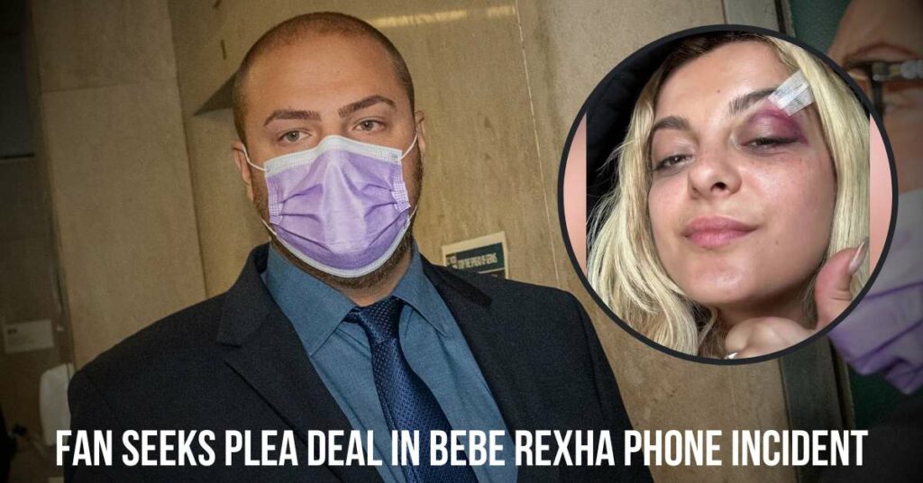 Fan Seeks Plea Deal in Bebe Rexha Phone Incident
