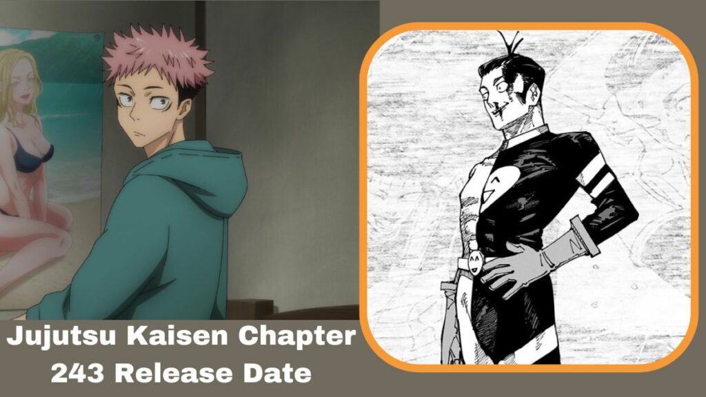 Jujutsu Kaisen Chapter 243 Release Date