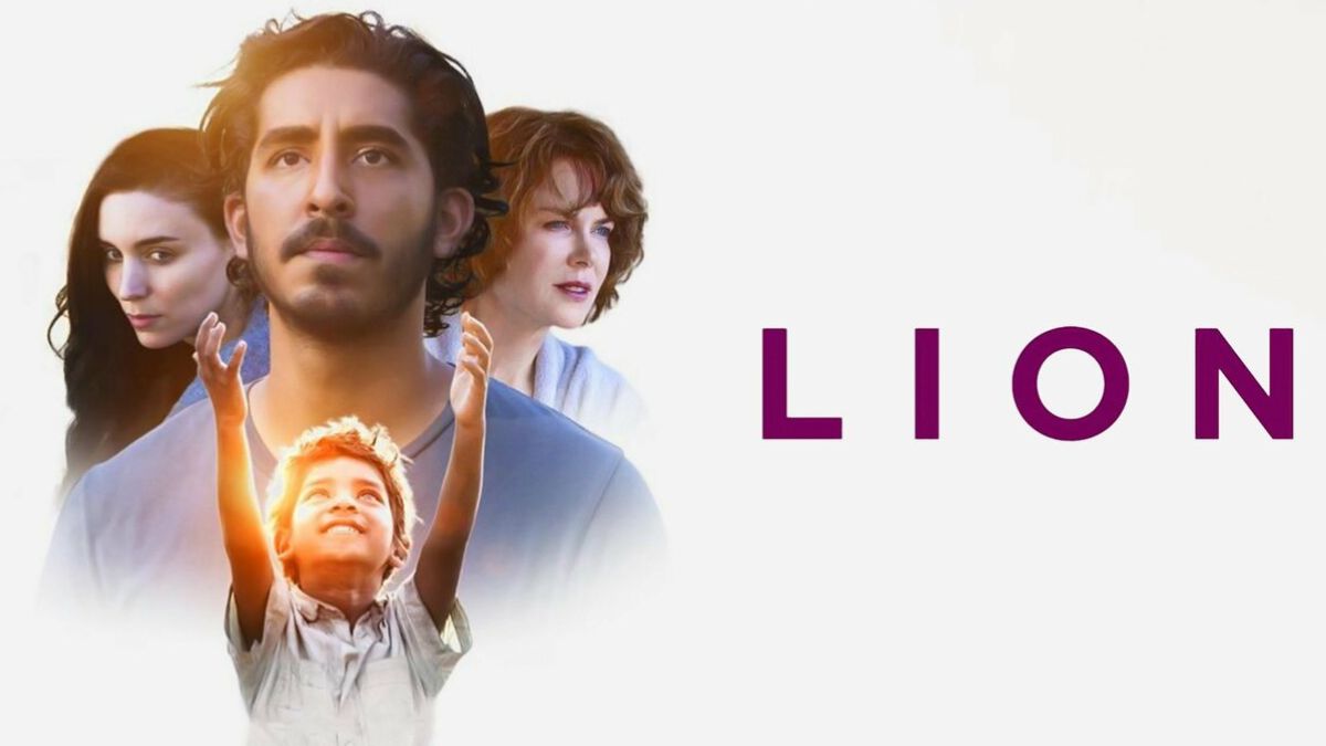 Lion 2016 (Sue Brierley)