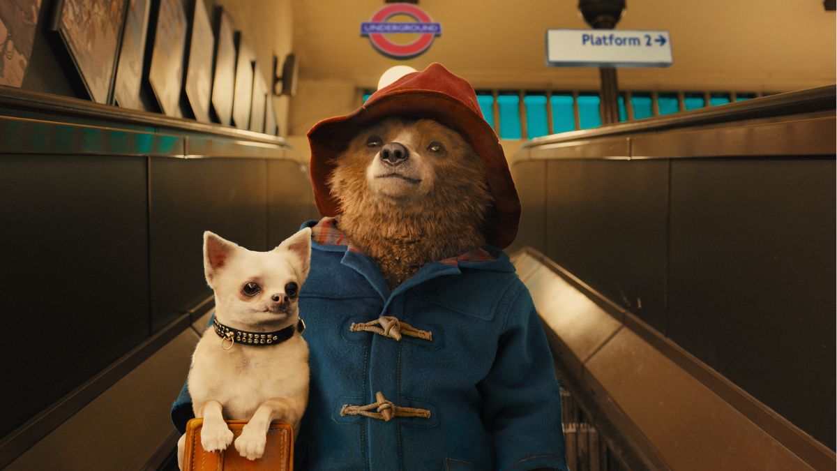 Paddington 2014 (Millicent Clyde)