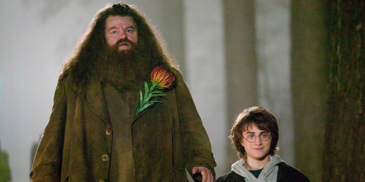 Robbie Coltrane was the very first actor to be cast in the movie series.