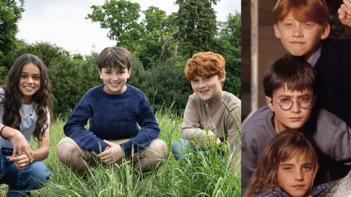 Harry Potter TV Series